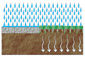 Стабилизация почвы газонными решетками EKOFIX во время атмосферных осадков.